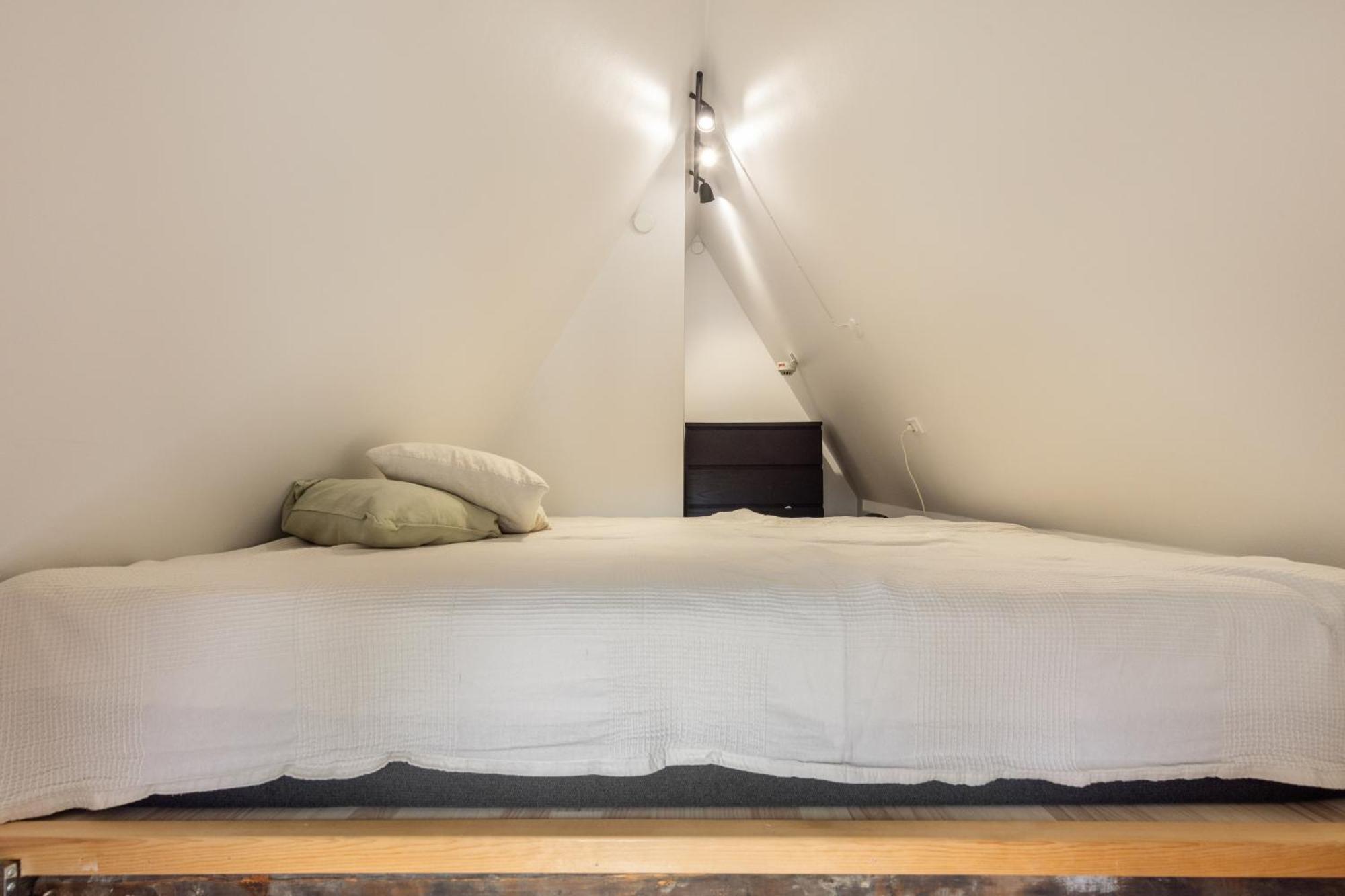Appartement Charming Loft City Center à Copenhague Extérieur photo